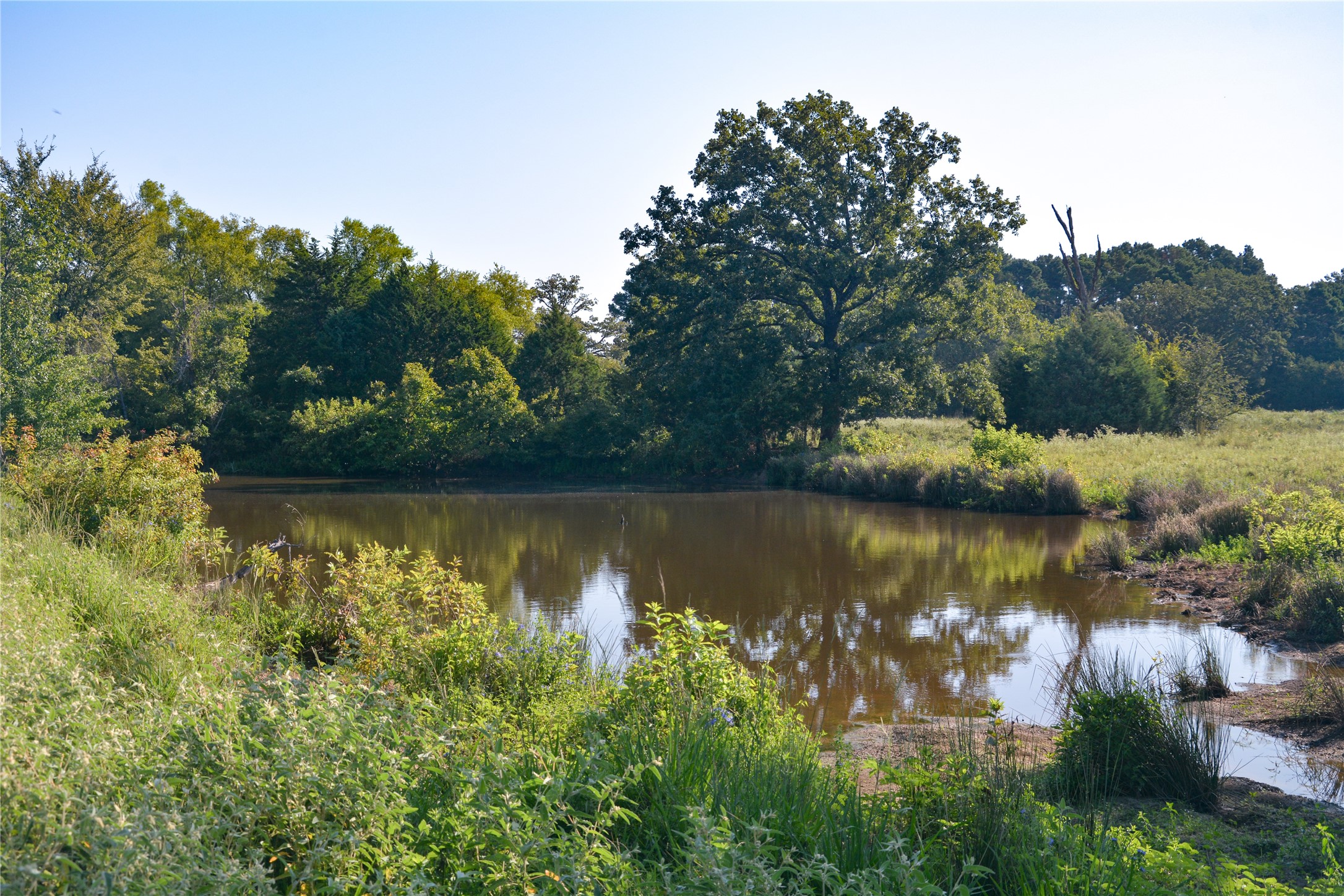 Tbd Vz County Road 1820 Grand Saline TX 75140