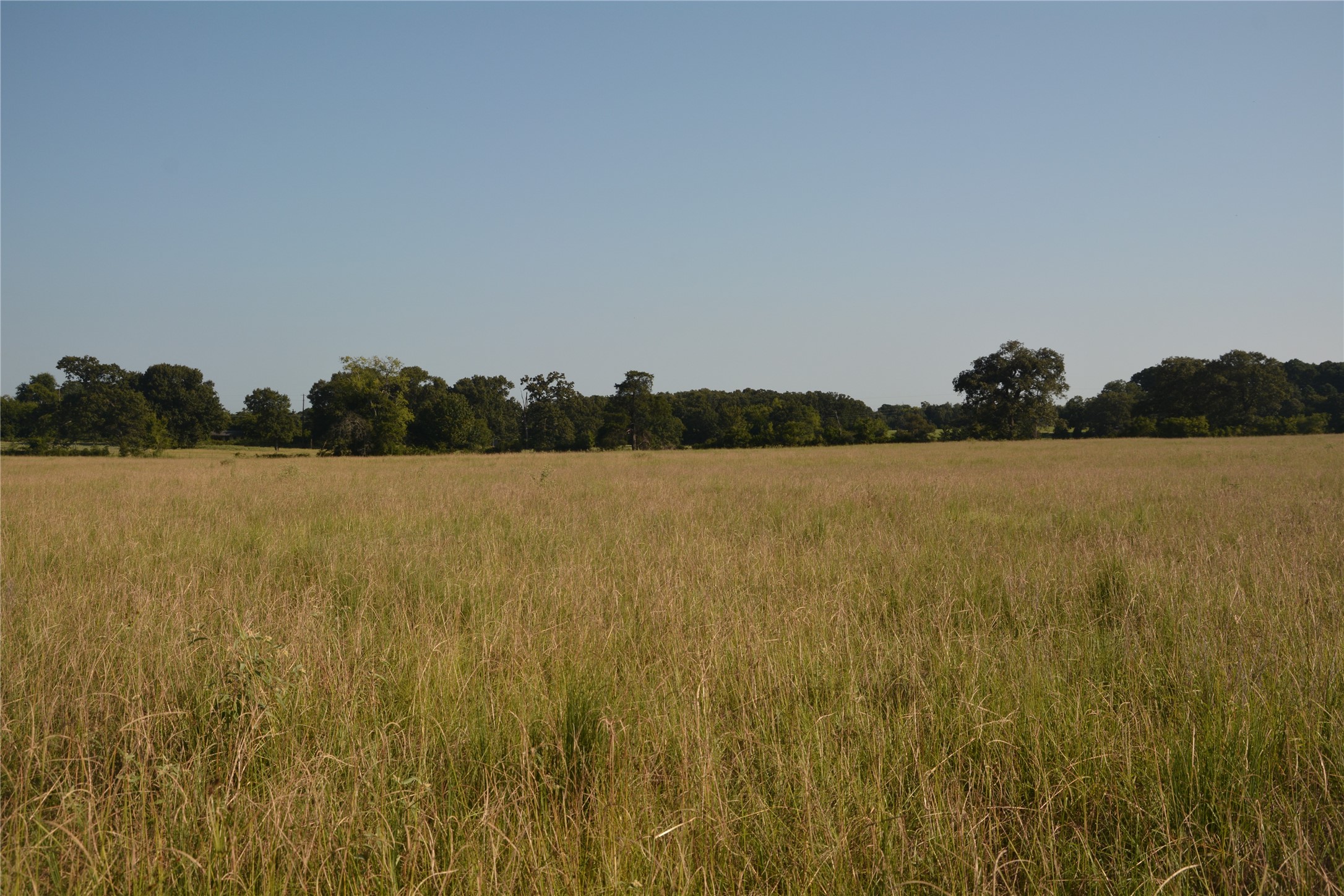 Tbd Vz County Road 1820 Grand Saline TX 75140