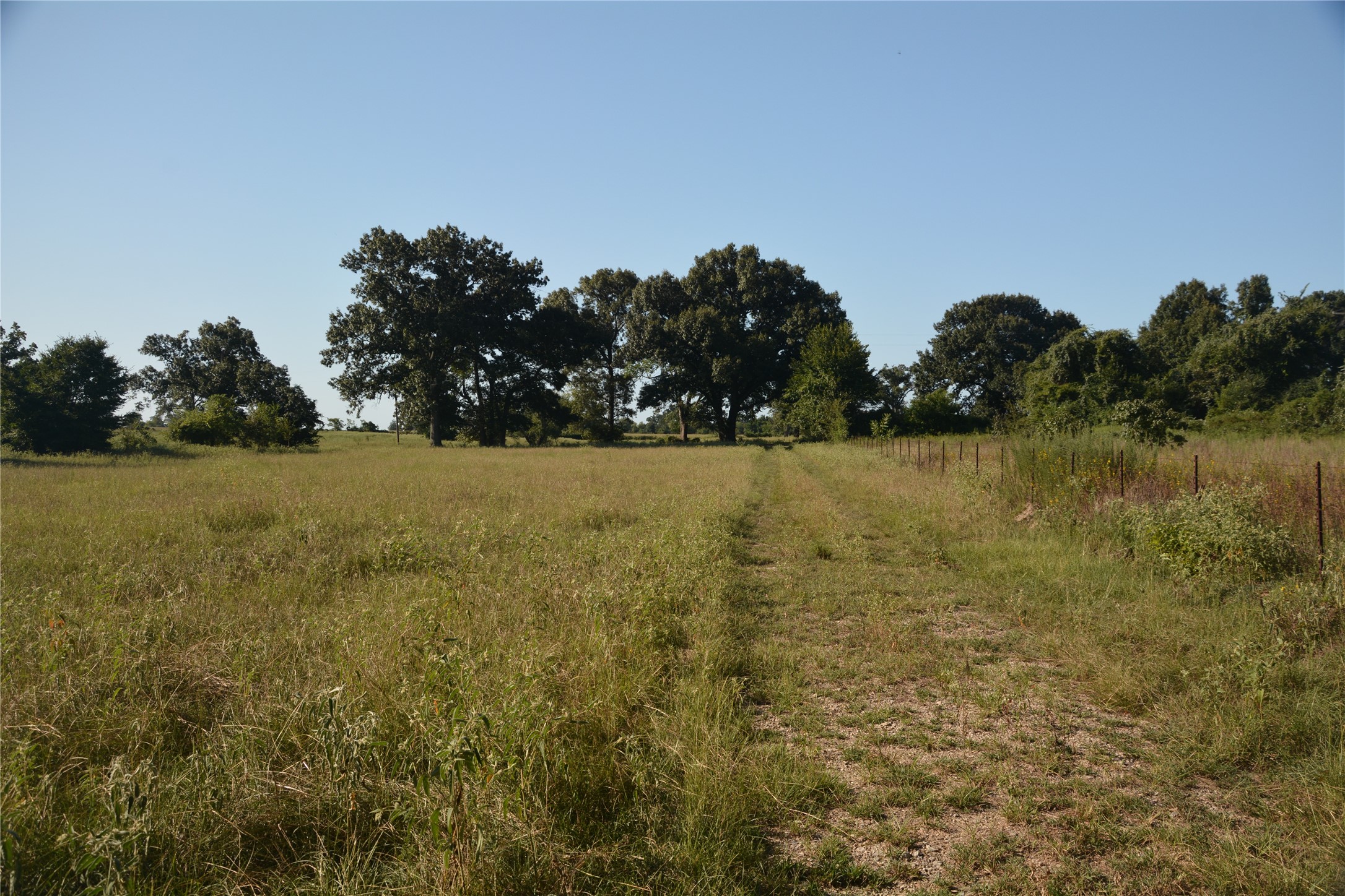 Tbd Vz County Road 1820 Grand Saline TX 75140