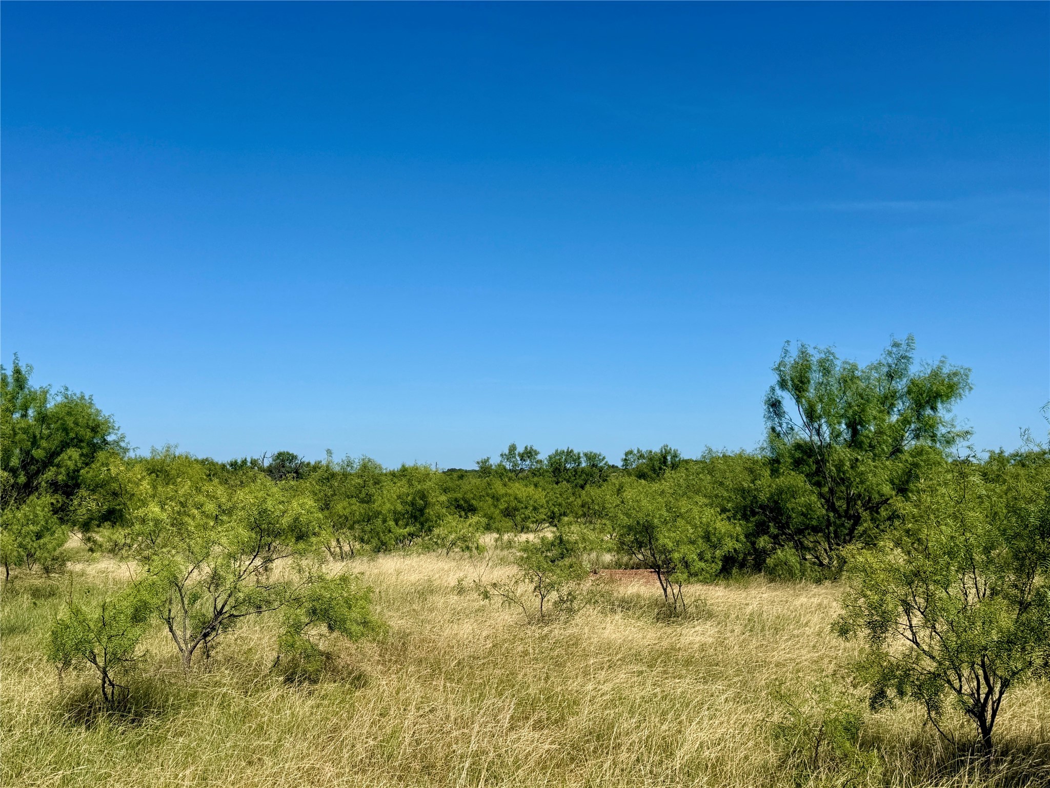 Tbd County Road 121 Cross Plains TX 76443