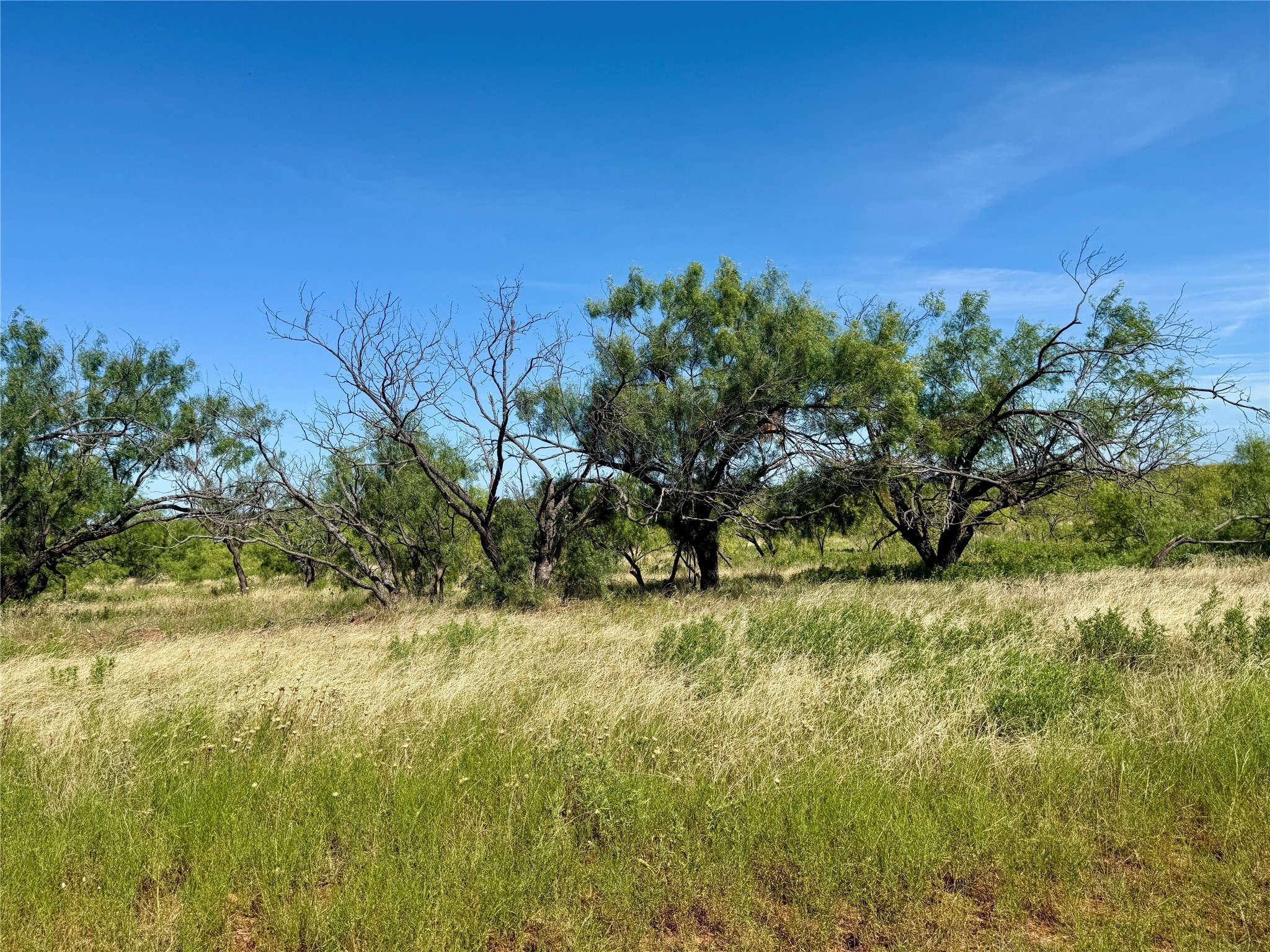 Tbd County Road 121 Cross Plains TX 76443