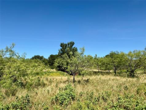 Tbd County Road 121 Cross Plains TX 76443