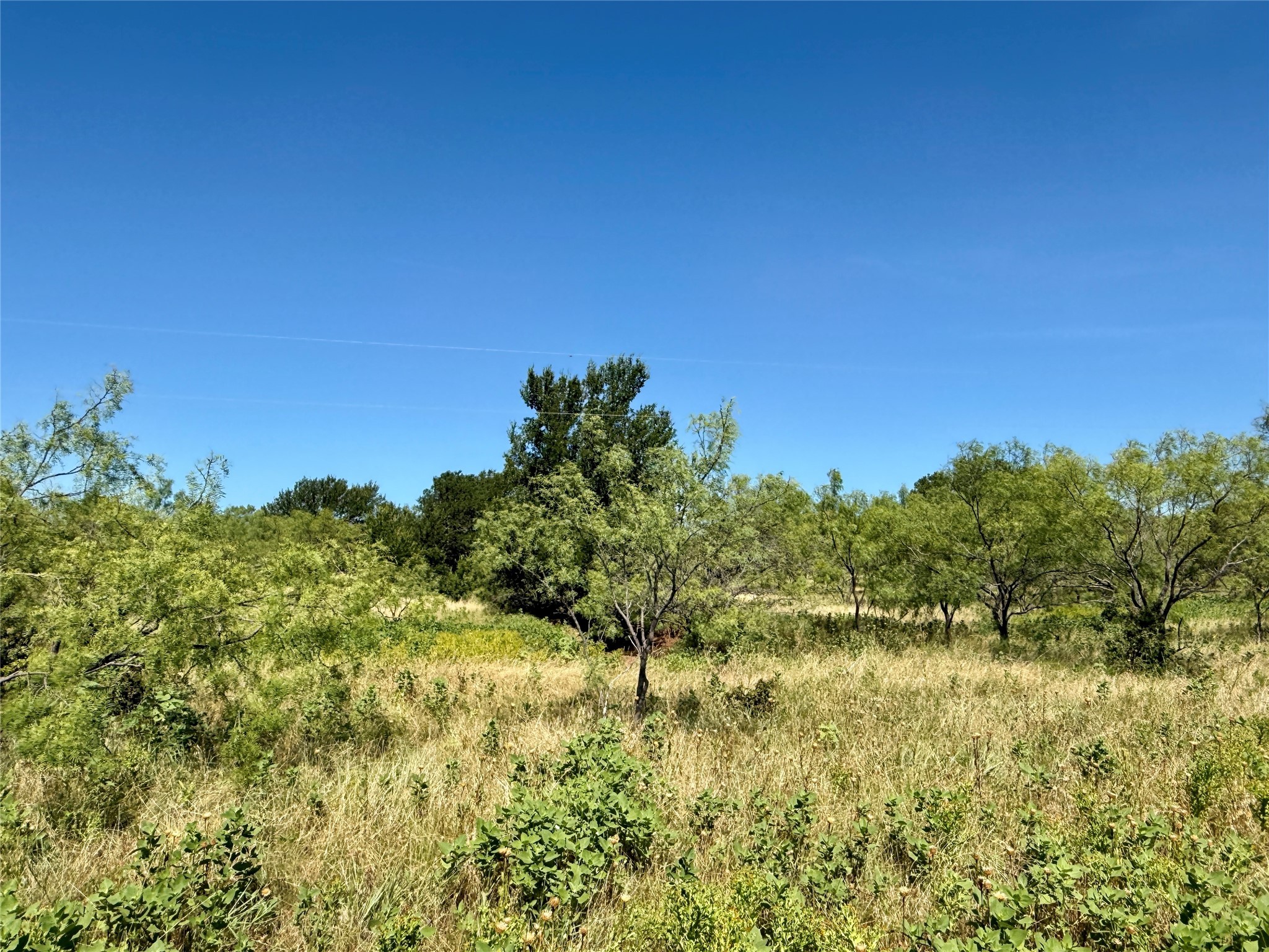 Tbd County Road 121 Cross Plains TX 76443