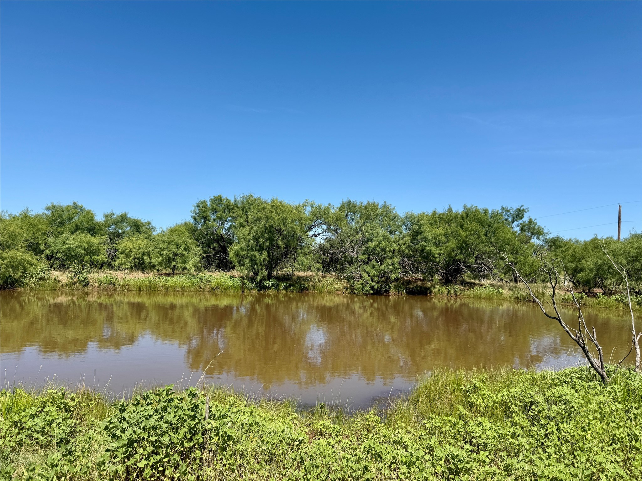 Tbd County Road 121 Cross Plains TX 76443