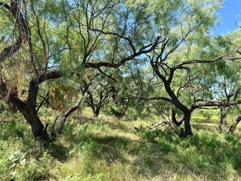 Tbd County Road 121 Cross Plains TX 76443