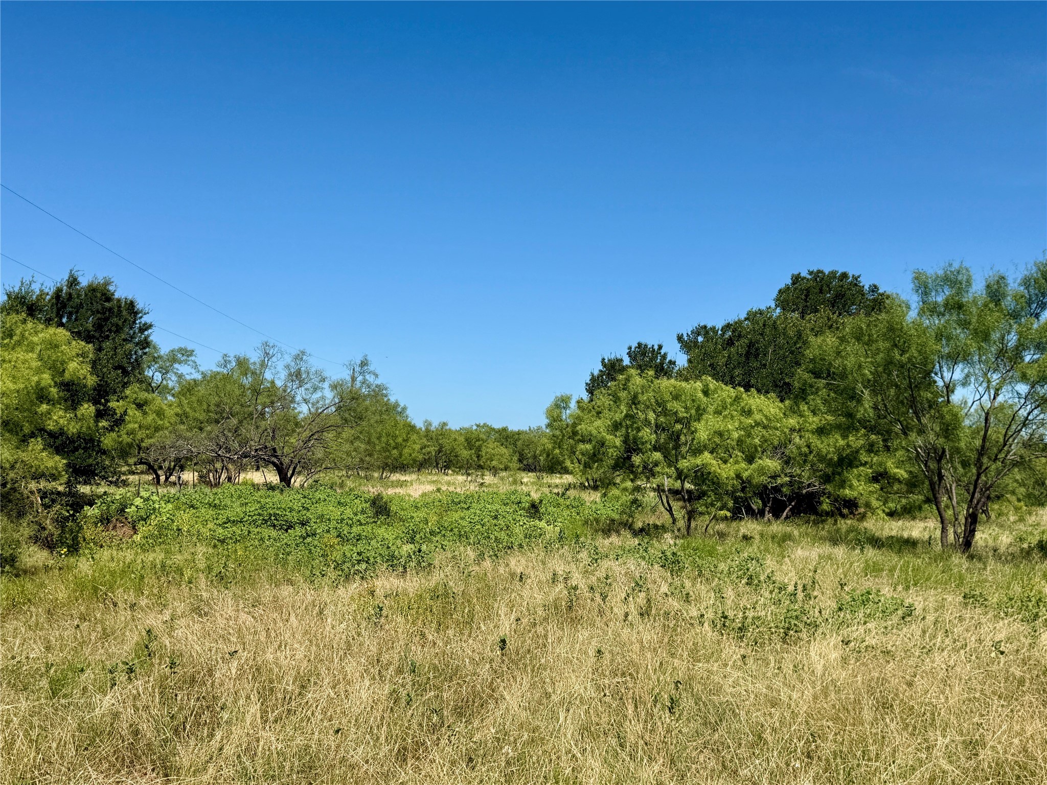 Tbd County Road 121 Cross Plains TX 76443