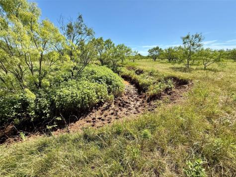 Tbd County Road 121 Cross Plains TX 76443