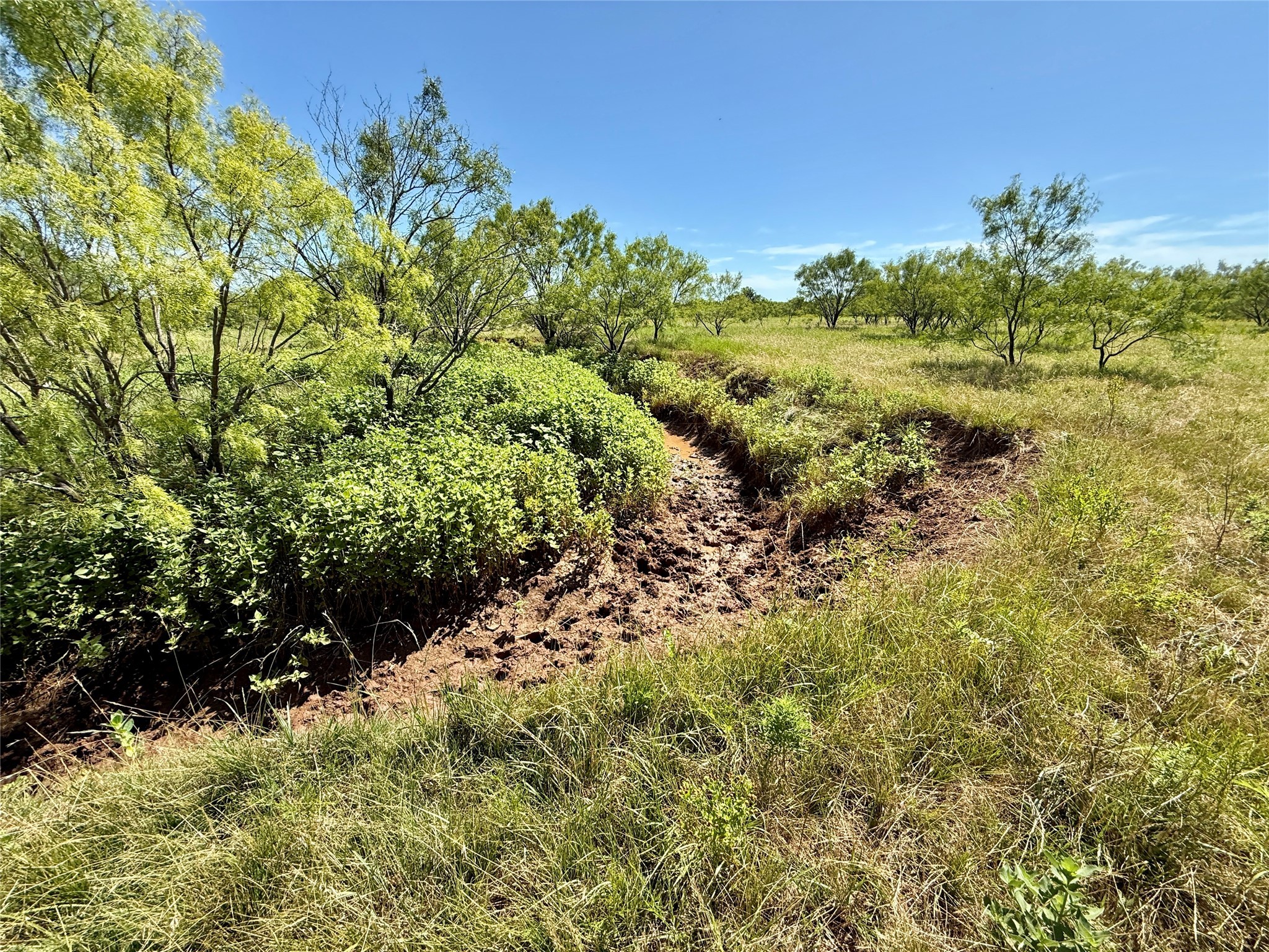 Tbd County Road 121 Cross Plains TX 76443