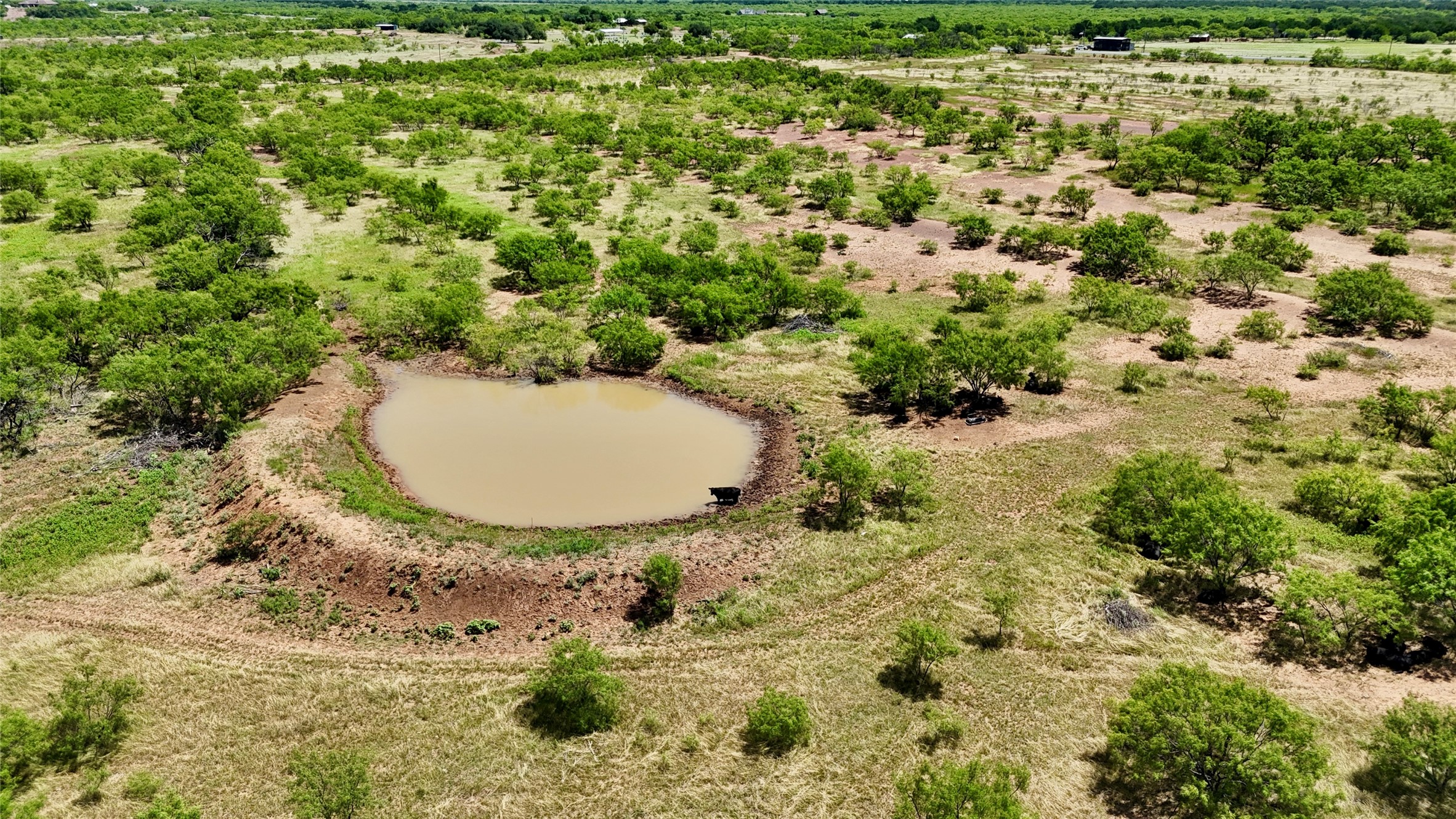 Tbd County Road 121 Cross Plains TX 76443