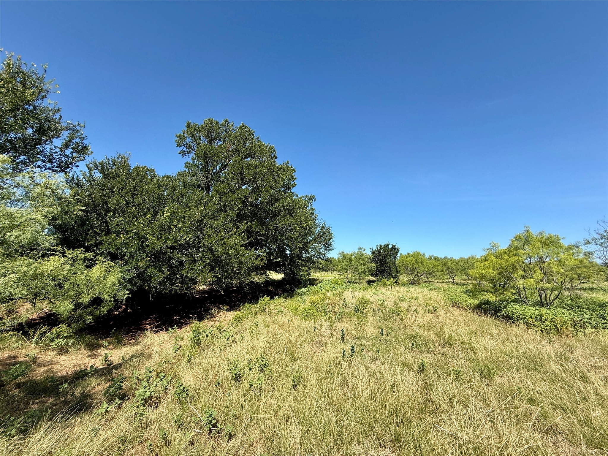 Tbd County Road 121 Cross Plains TX 76443