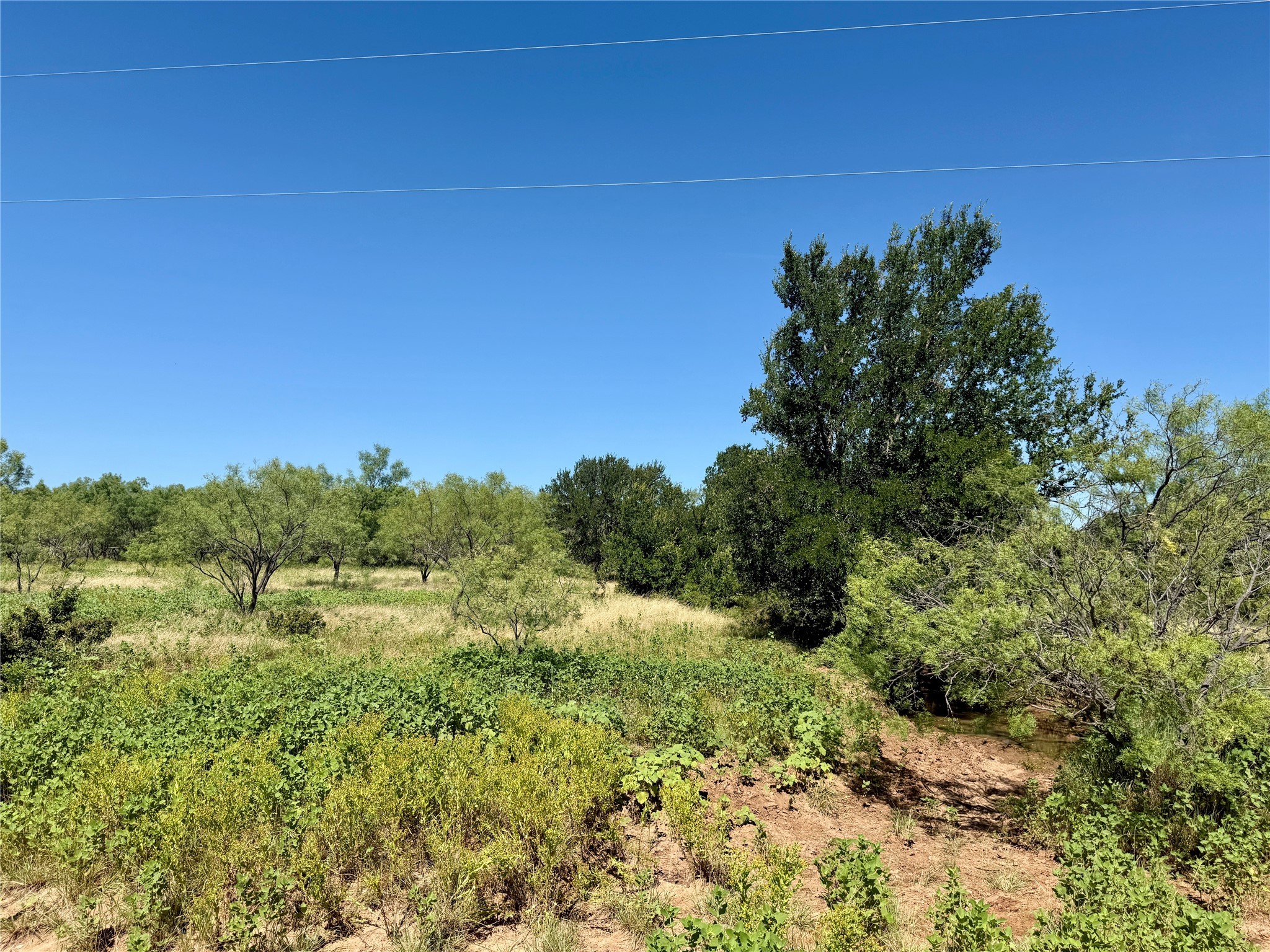 Tbd County Road 121 Cross Plains TX 76443