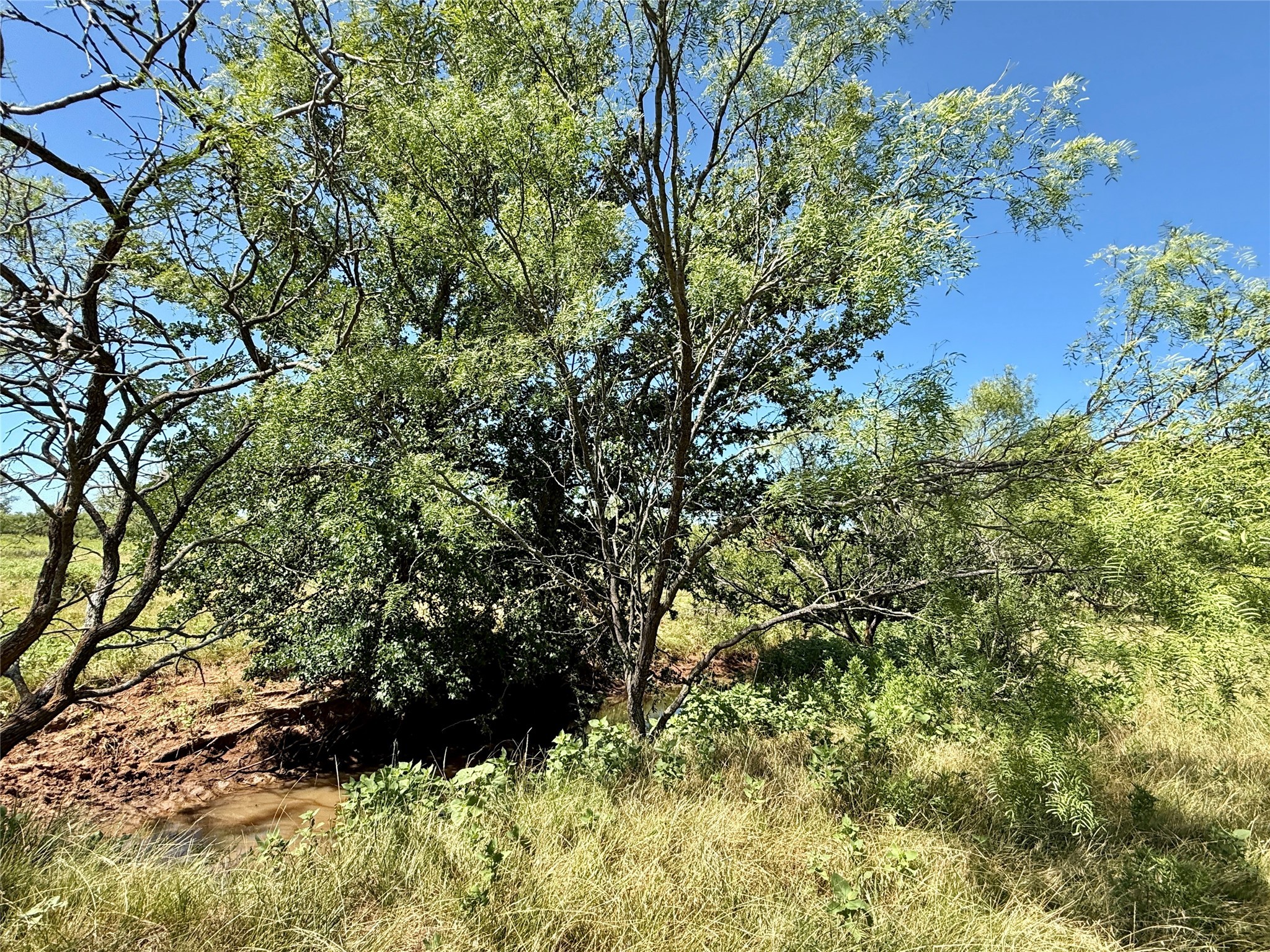 Tbd County Road 121 Cross Plains TX 76443