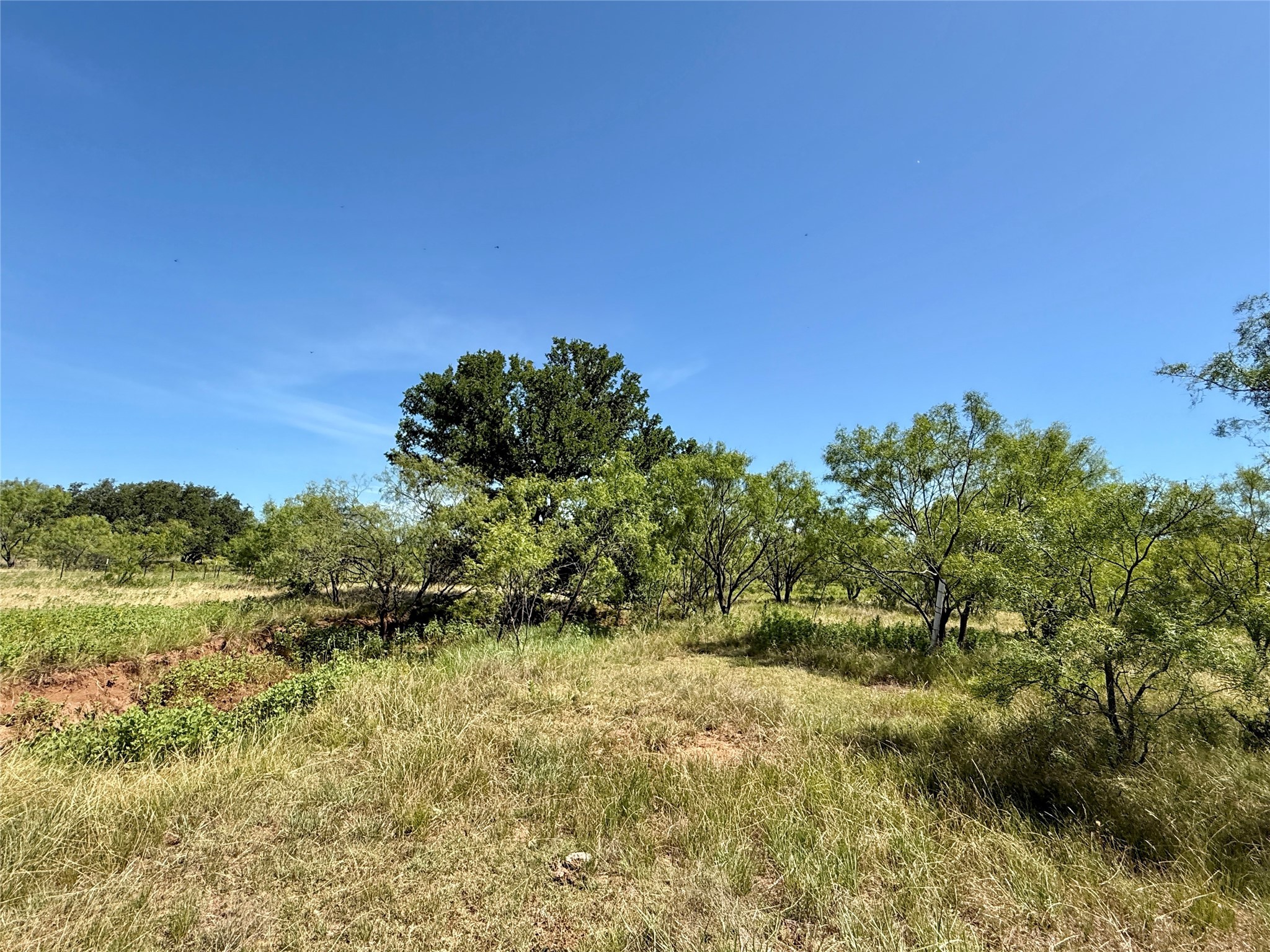 Tbd County Road 121 Cross Plains TX 76443
