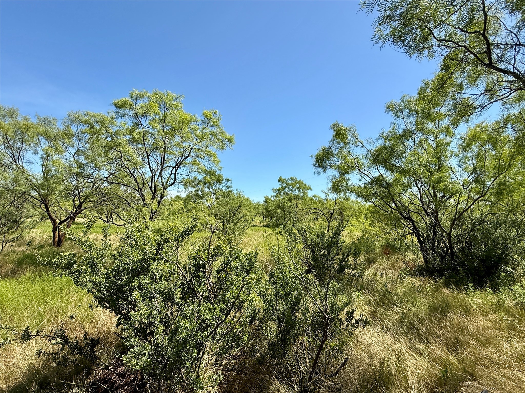 Tbd County Road 121 Cross Plains TX 76443