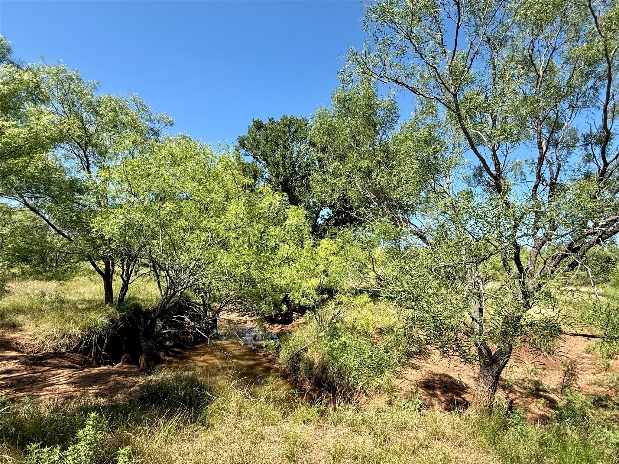 Tbd County Road 121 Cross Plains TX 76443