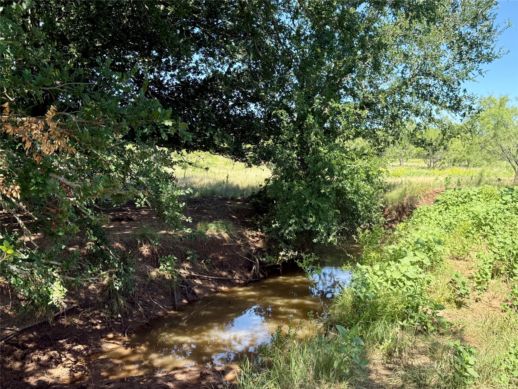 Tbd County Road 121 Cross Plains TX 76443