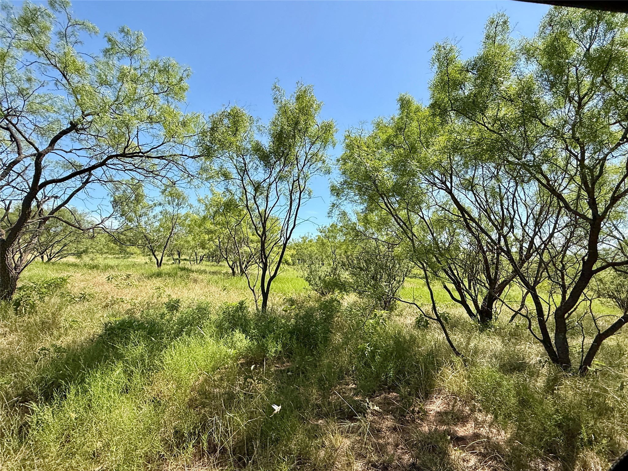 Tbd County Road 121 Cross Plains TX 76443