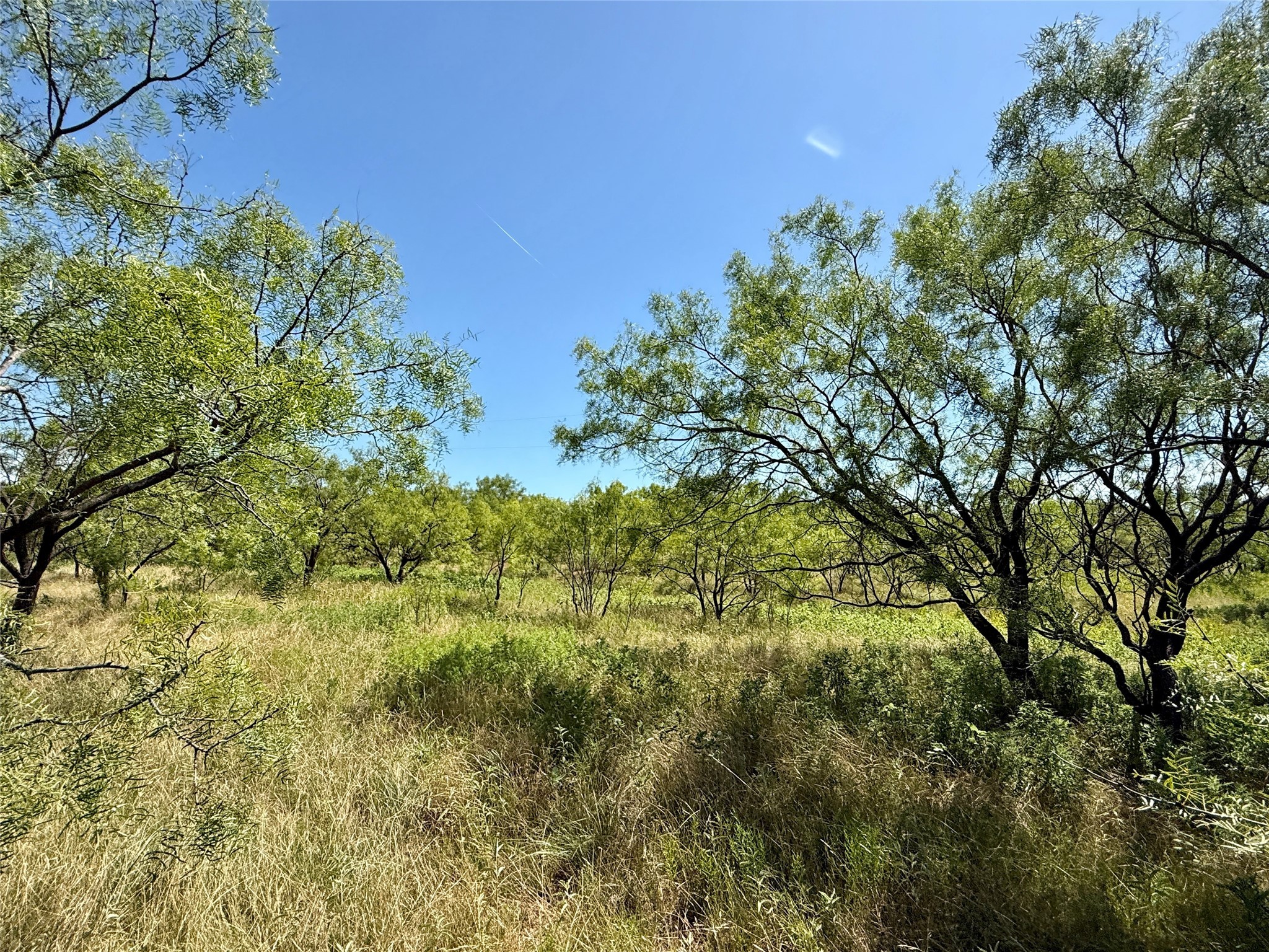 Tbd County Road 121 Cross Plains TX 76443