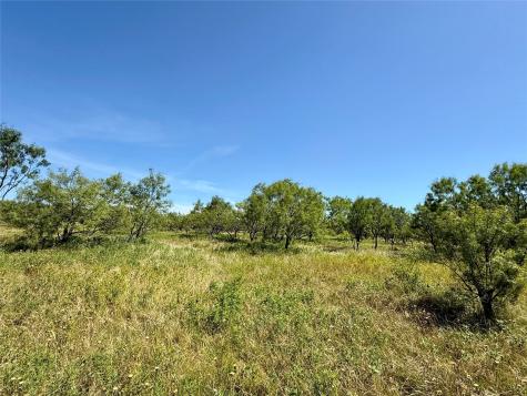 Tbd County Road 121 Cross Plains TX 76443