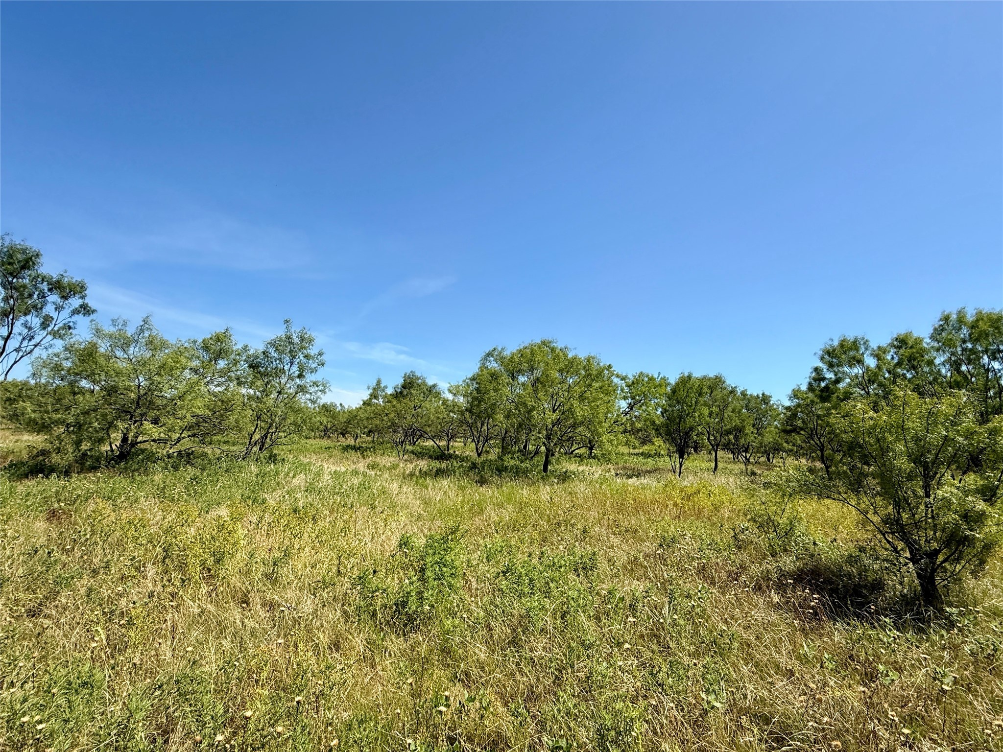 Tbd County Road 121 Cross Plains TX 76443