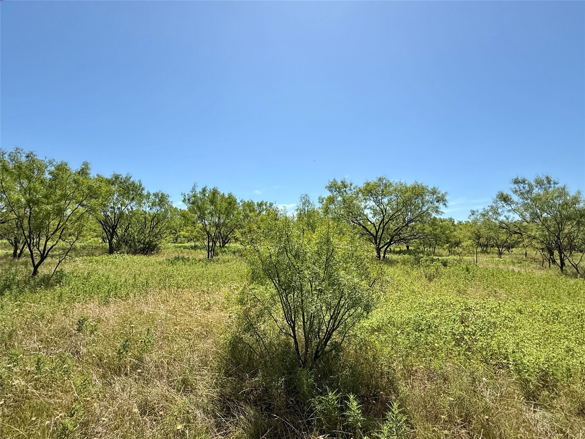 Tbd County Road 121 Cross Plains TX 76443