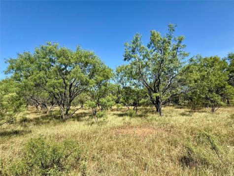 Tbd County Road 121 Cross Plains TX 76443