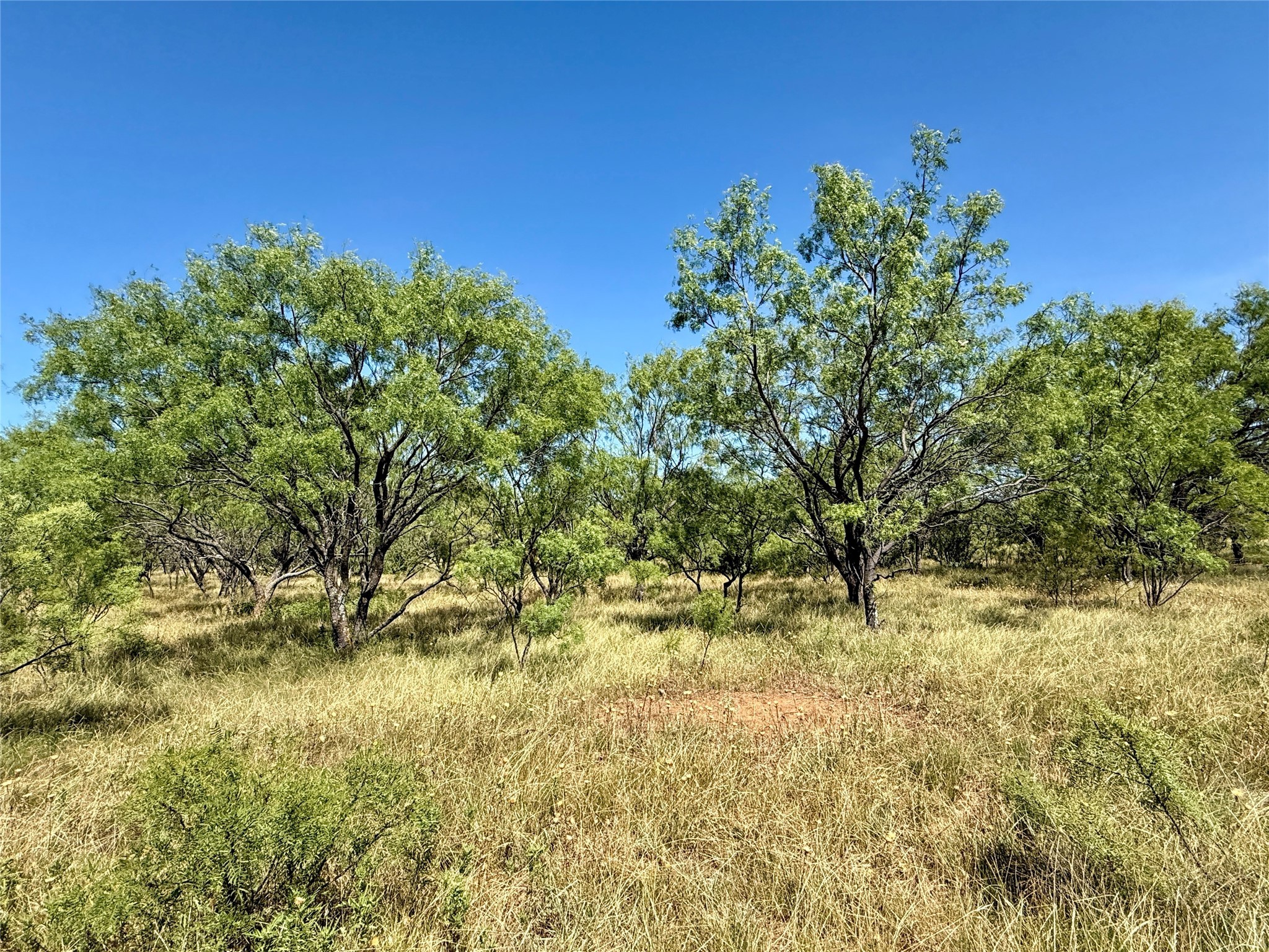Tbd County Road 121 Cross Plains TX 76443