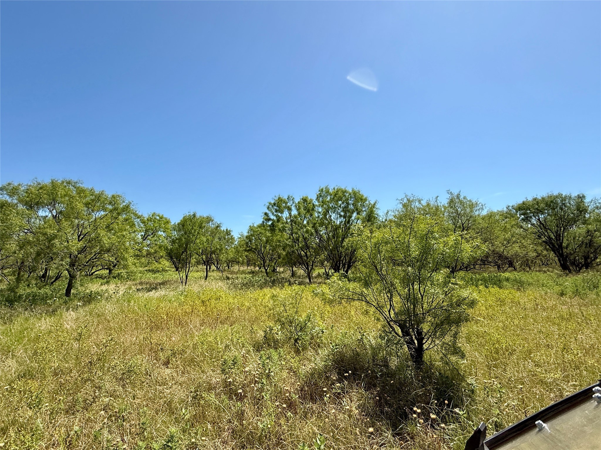 Tbd County Road 121 Cross Plains TX 76443