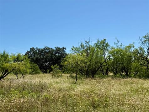 Tbd County Road 121 Cross Plains TX 76443