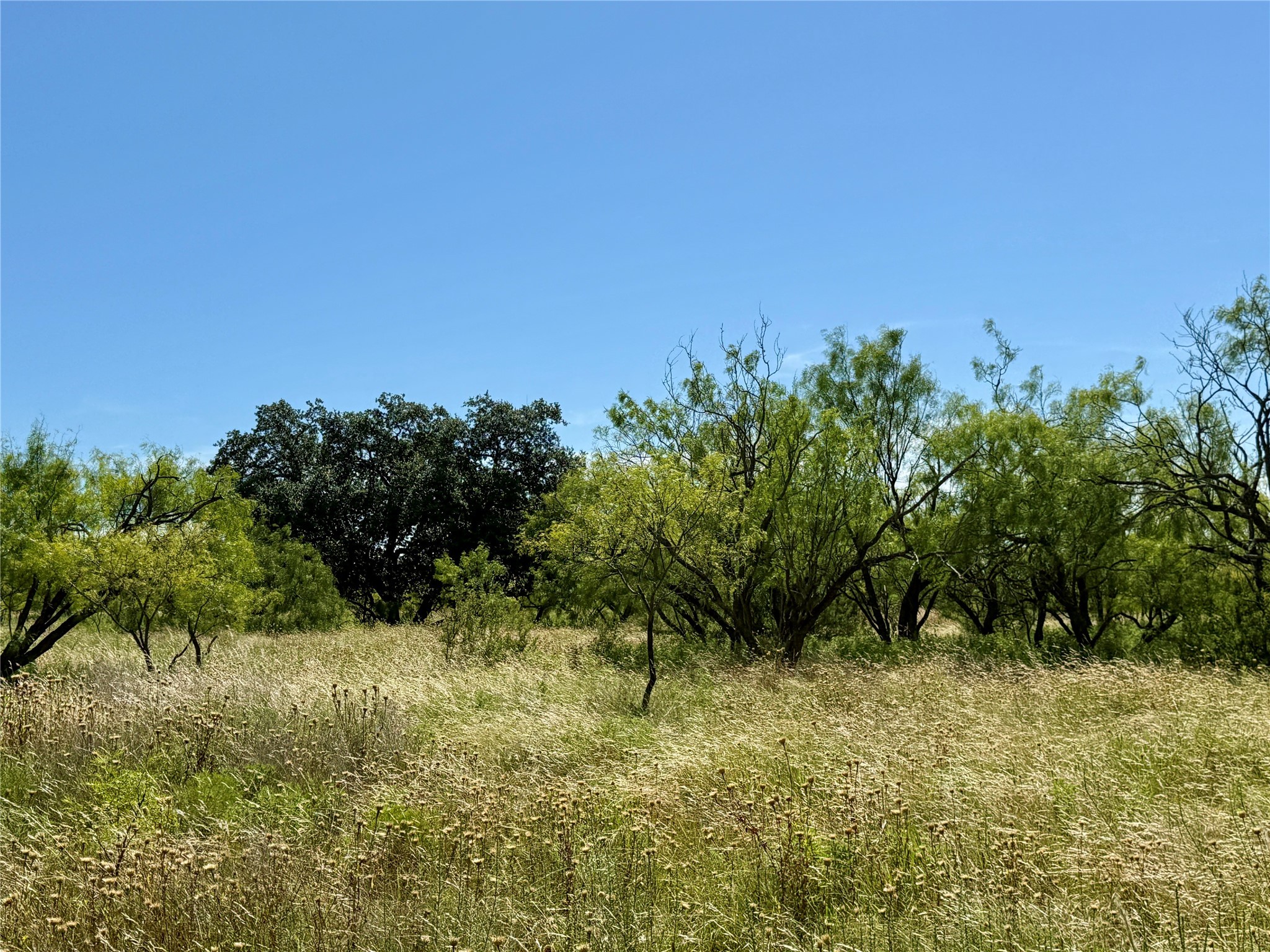 Tbd County Road 121 Cross Plains TX 76443