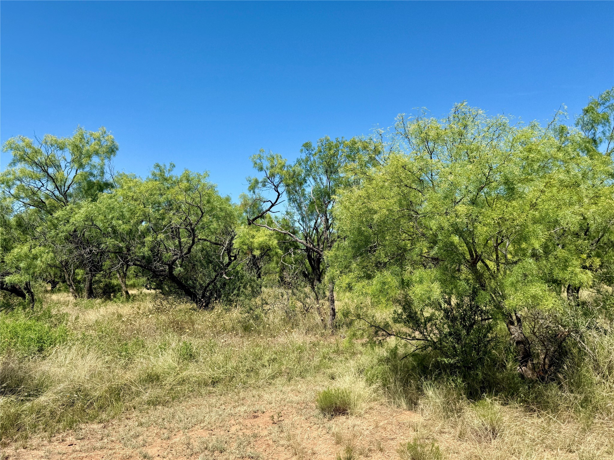 Tbd County Road 121 Cross Plains TX 76443