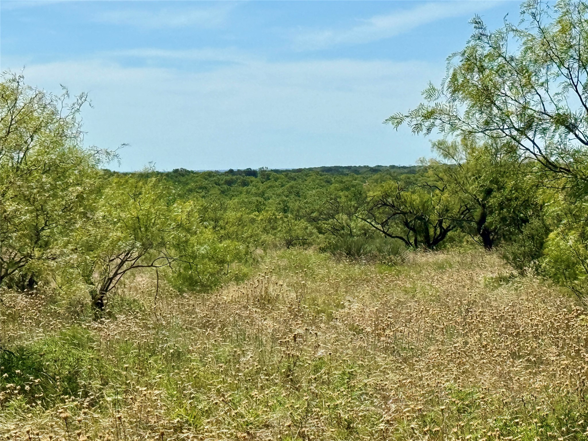 Tbd County Road 121 Cross Plains TX 76443