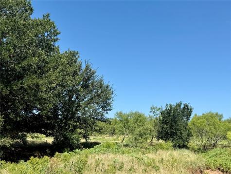 Tbd County Road 121 Cross Plains TX 76443