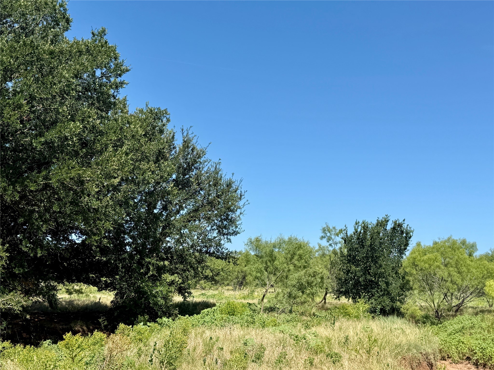Tbd County Road 121 Cross Plains TX 76443