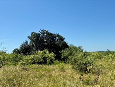 Tbd County Road 121 Cross Plains TX 76443