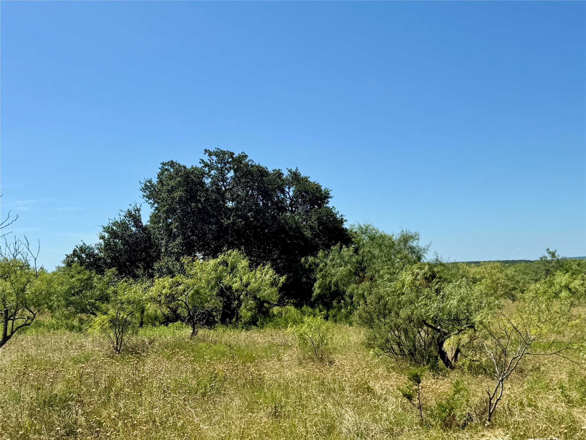 Tbd County Road 121 Cross Plains TX 76443