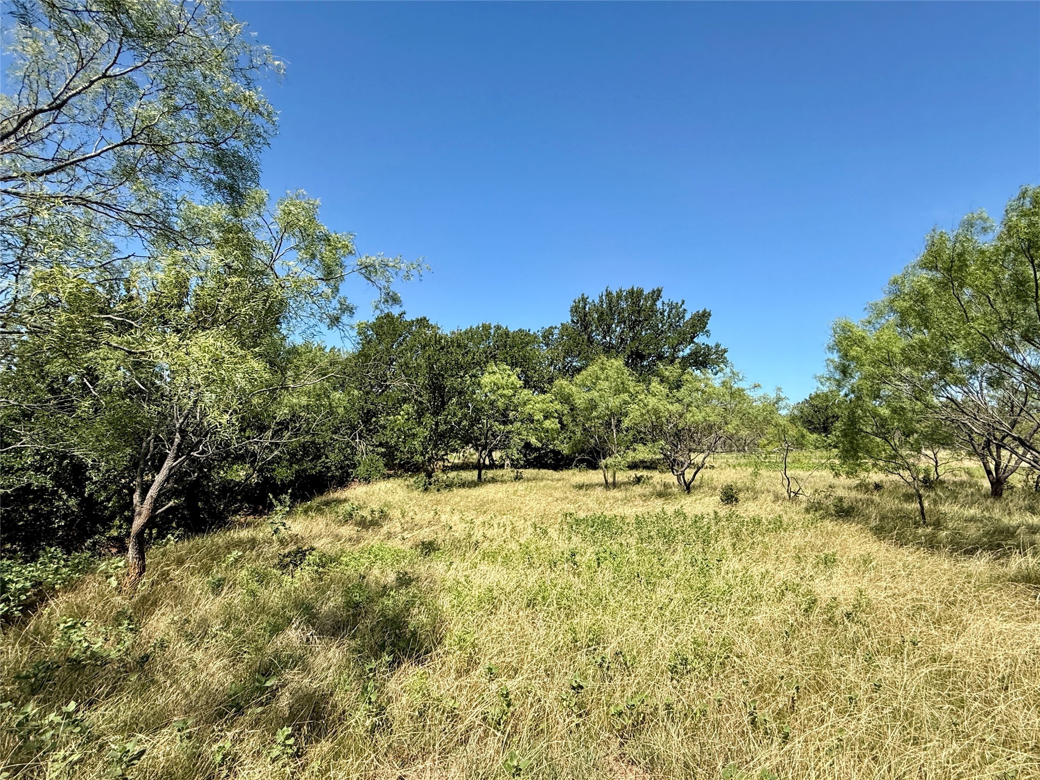 Tbd County Road 121 Cross Plains TX 76443