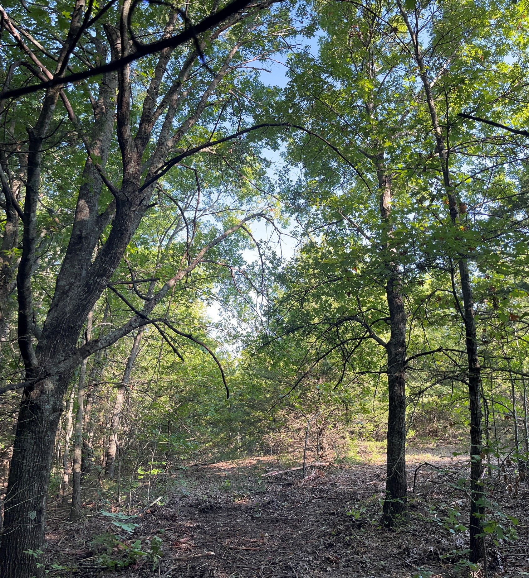 Tract 1, Key Road Sherman TX 75090