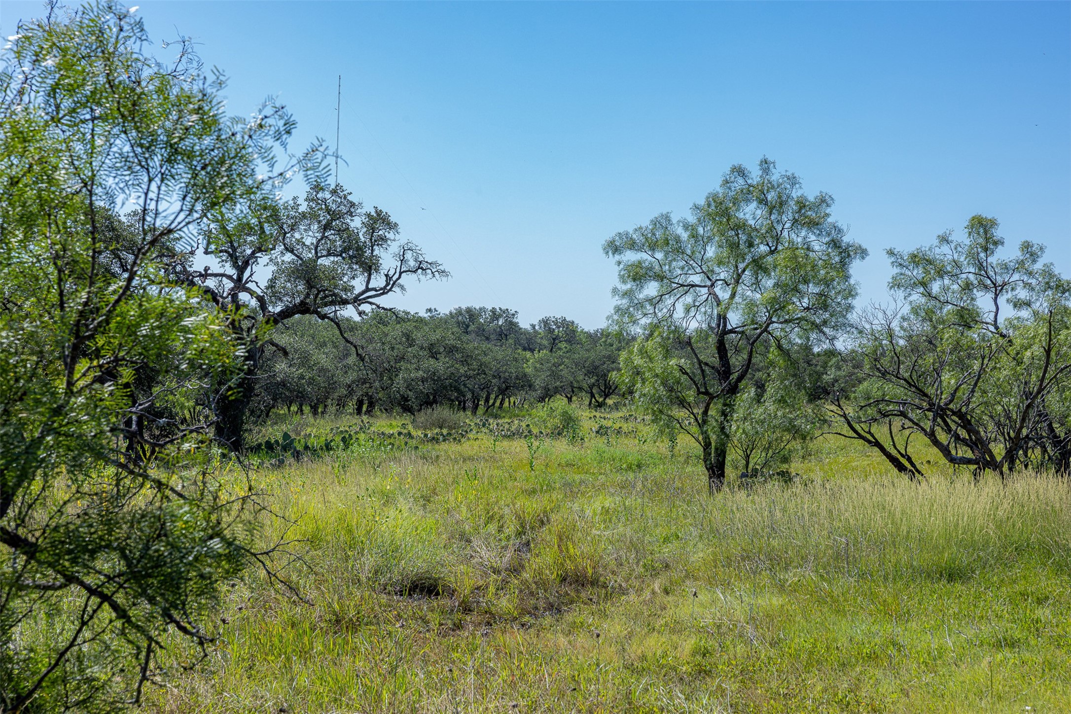 Tract 2 2050 W. 17th Street Brady TX 76825