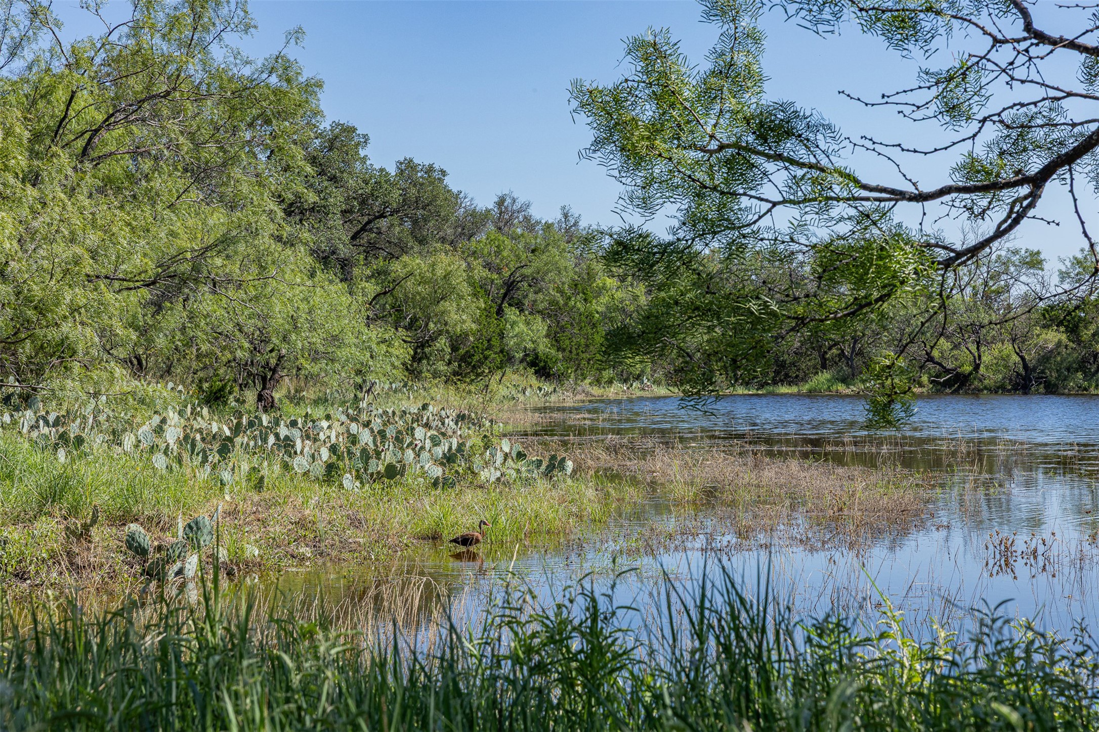 Tract 2 2050 W. 17th Street Brady TX 76825