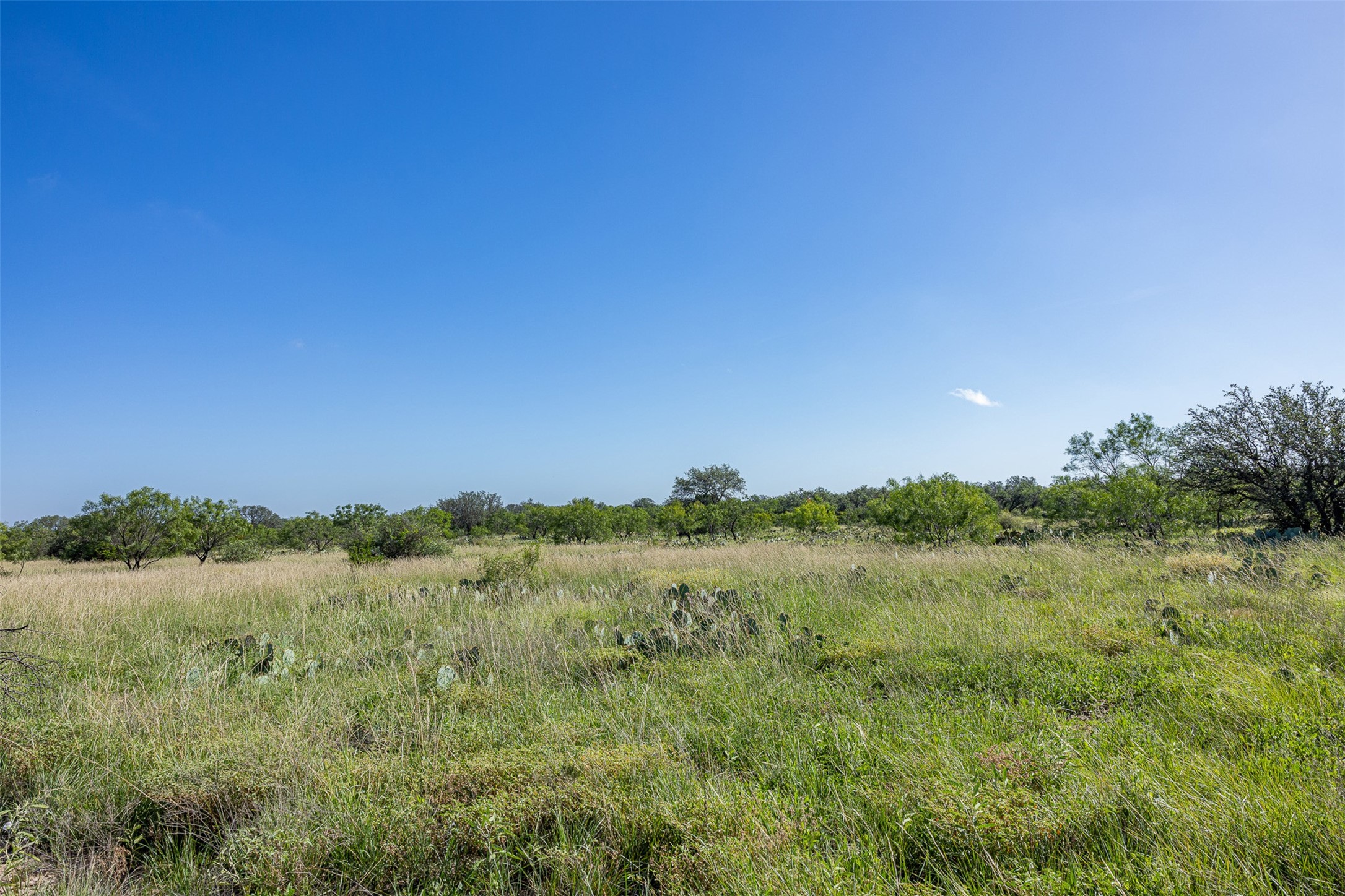 Tract 2 2050 W. 17th Street Brady TX 76825