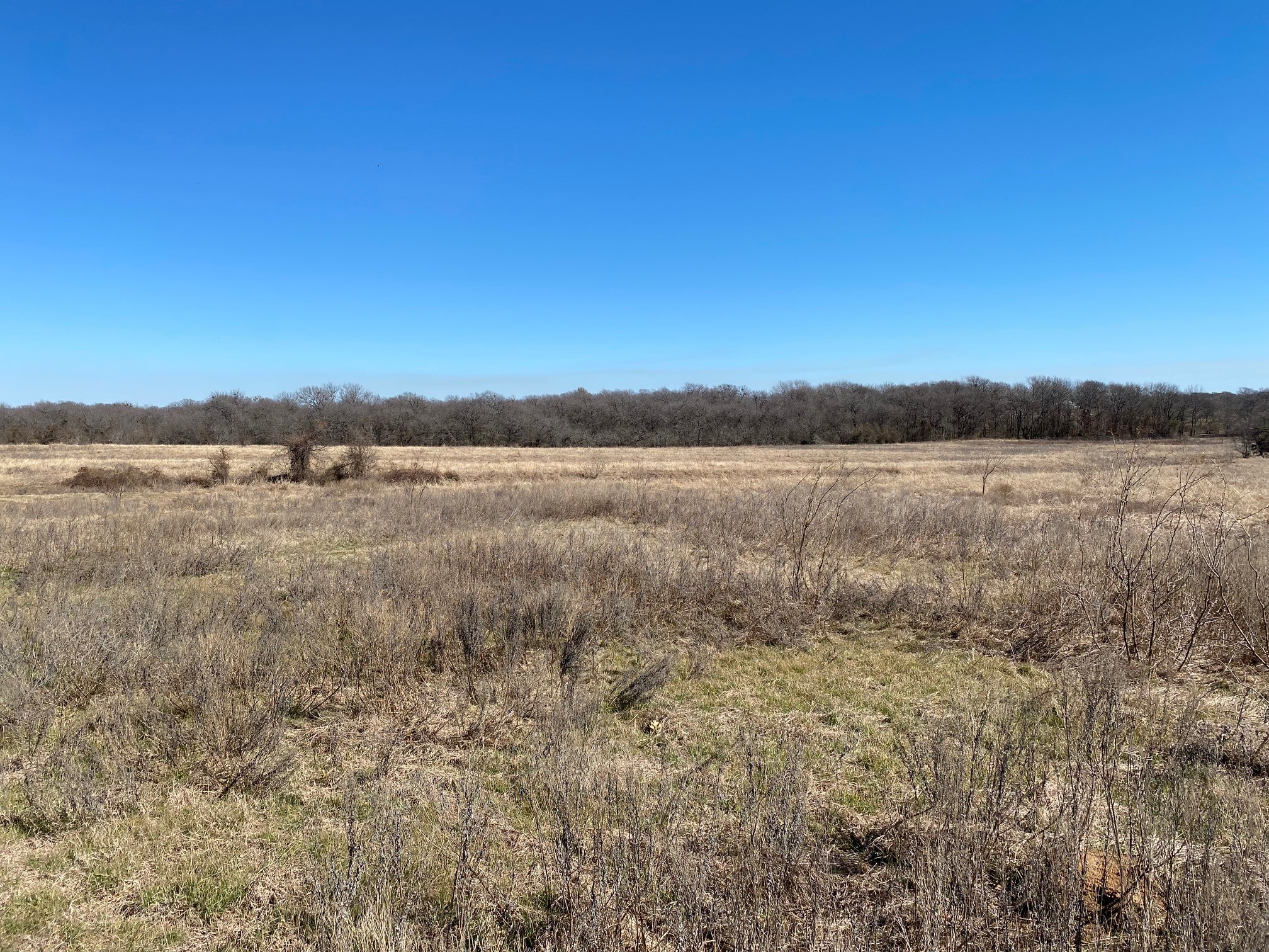 Lot 3 SE Cr 2220 Corsicana TX 75109
