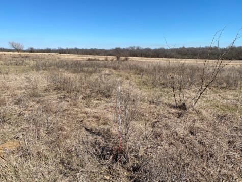 Lot 3 SE Cr 2220 Corsicana TX 75109