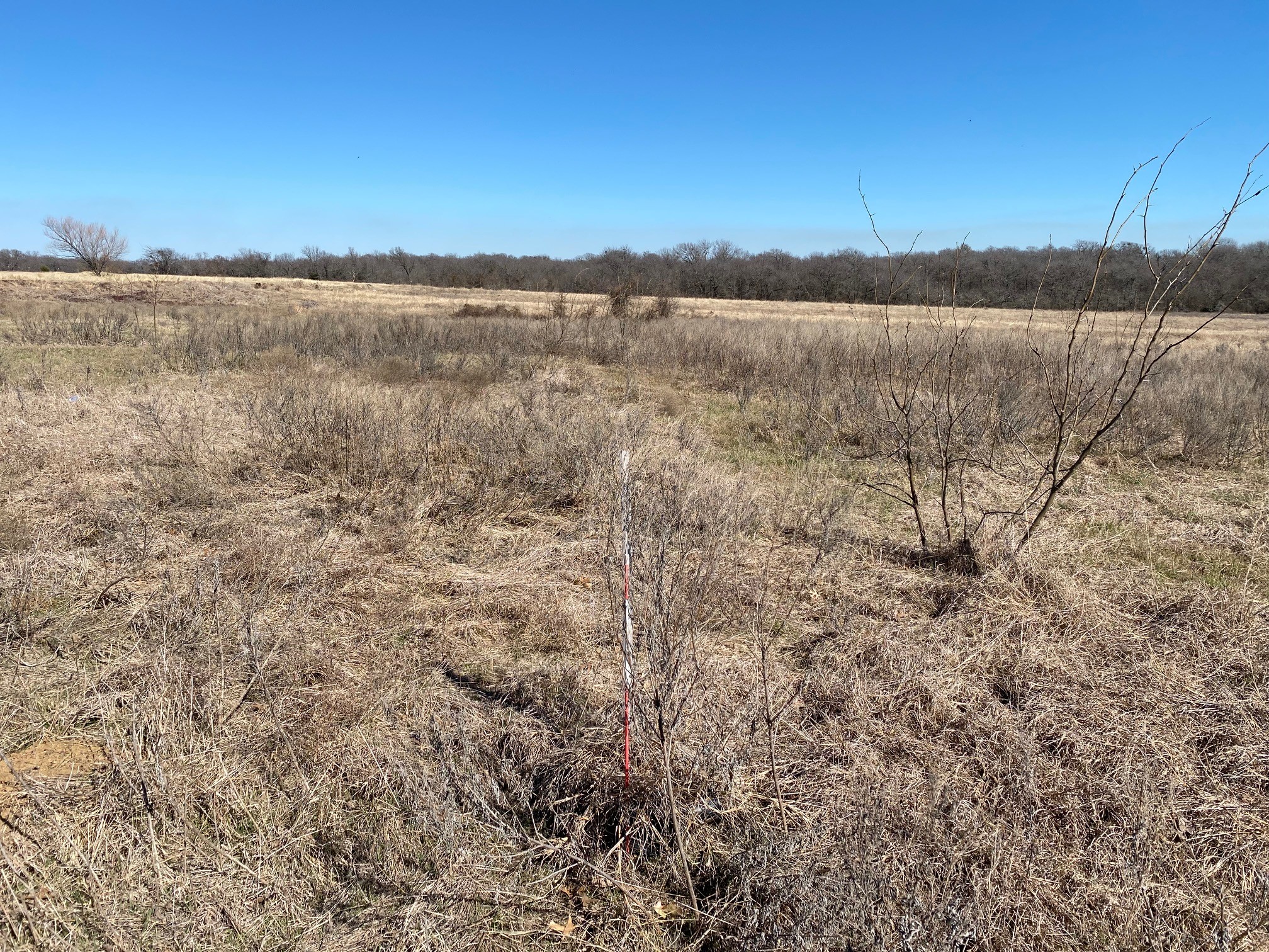 Lot 3 SE Cr 2220 Corsicana TX 75109
