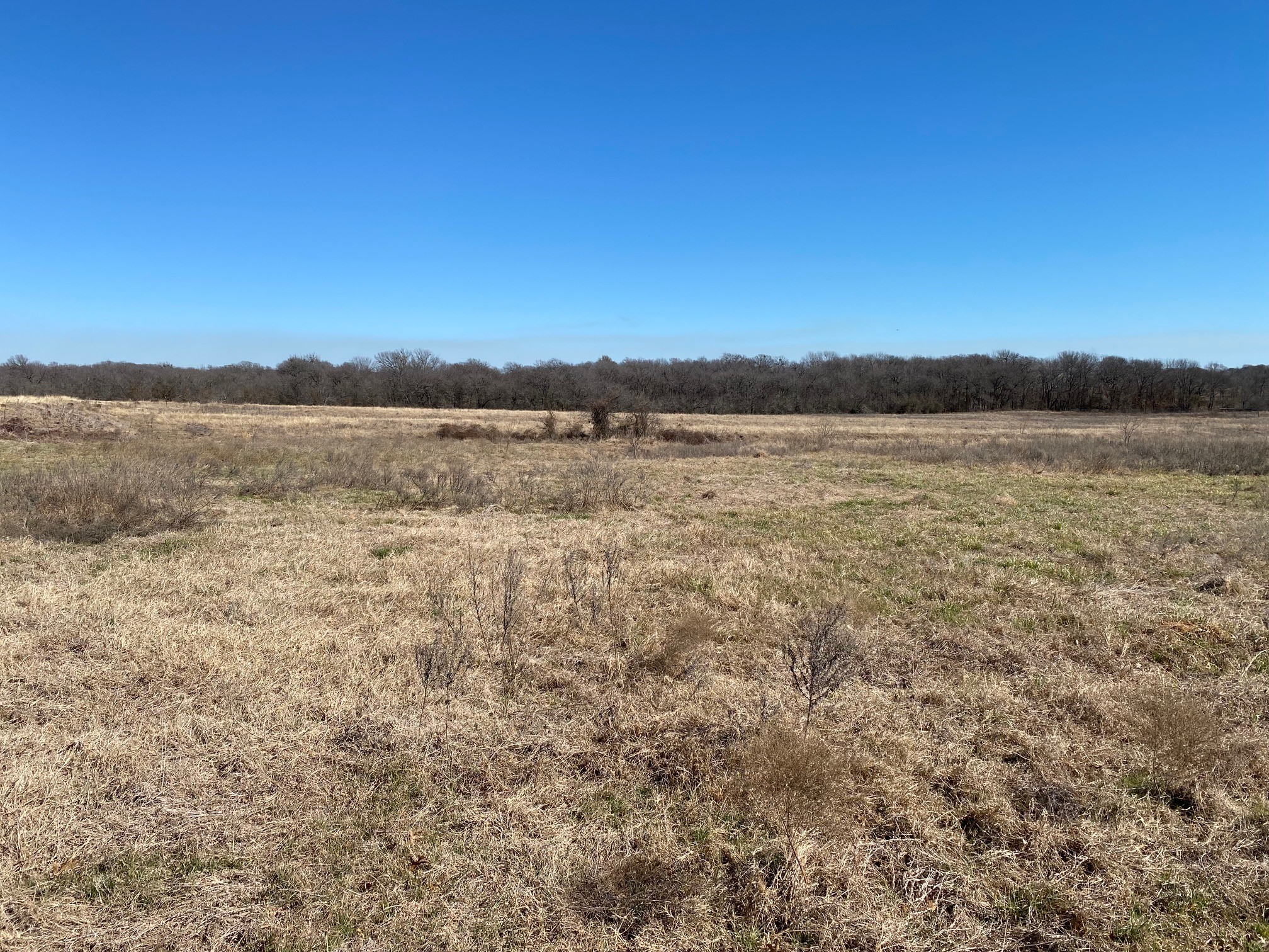 Lot 3 SE Cr 2220 Corsicana TX 75109