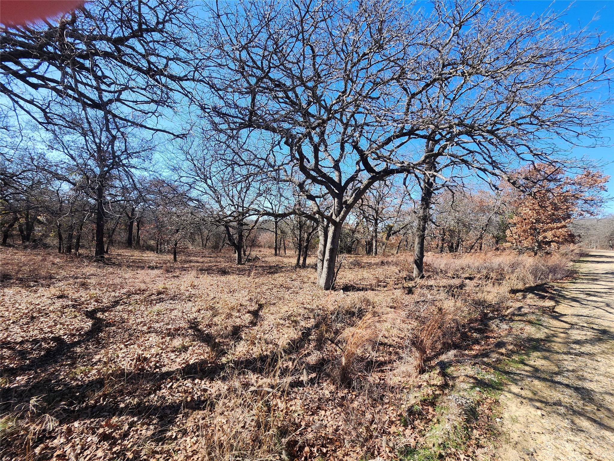 121 Mescalero Trail Nocona TX 76255