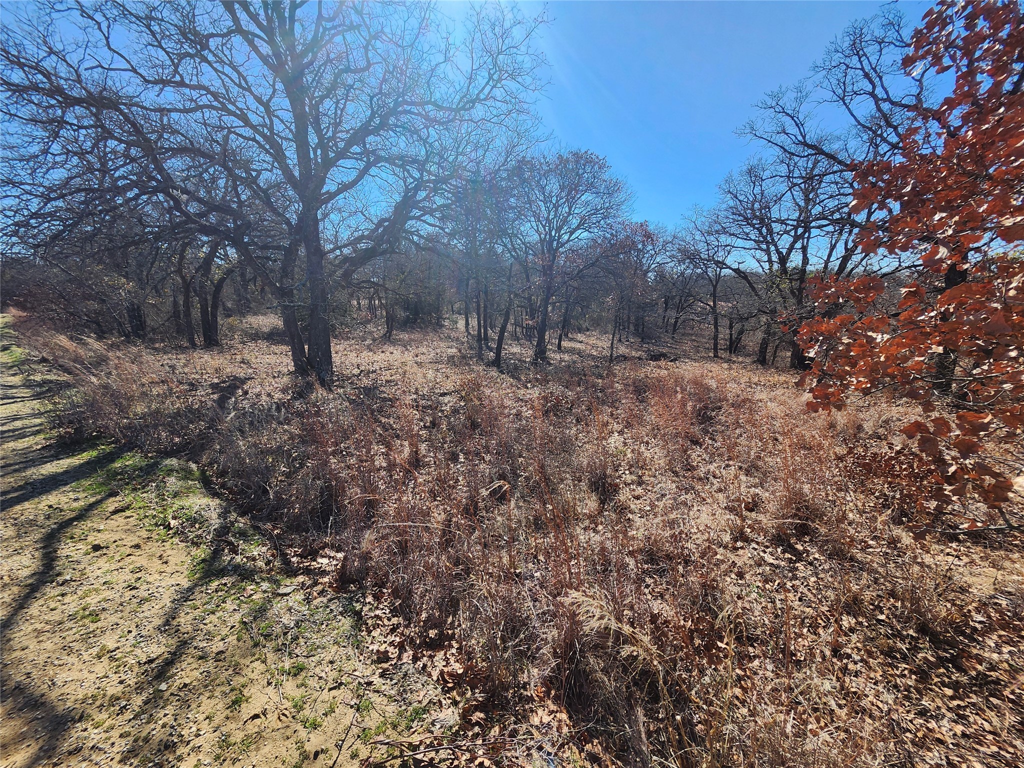 121 Mescalero Trail Nocona TX 76255