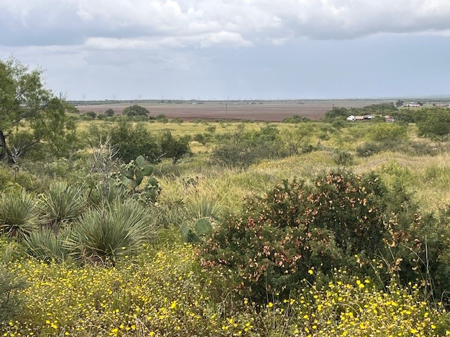 TBD3 County Road 405 Merkel TX 79536