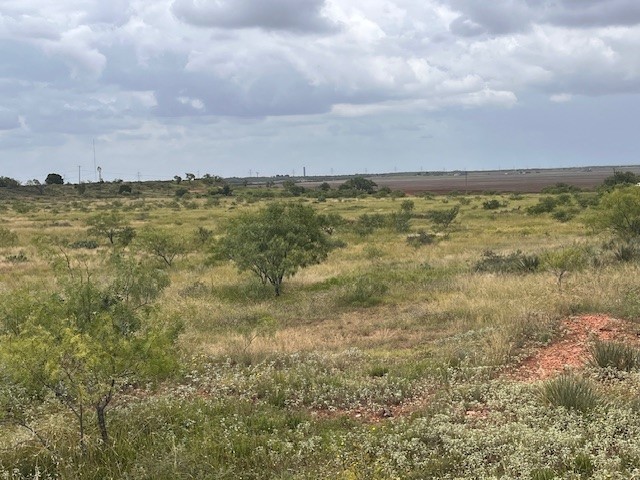 TBD3 County Road 405 Merkel TX 79536