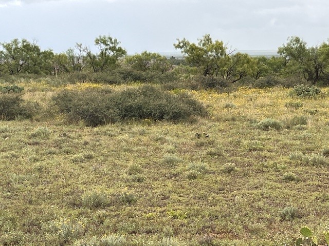 TBD3 County Road 405 Merkel TX 79536